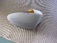 DSC03878.JPG